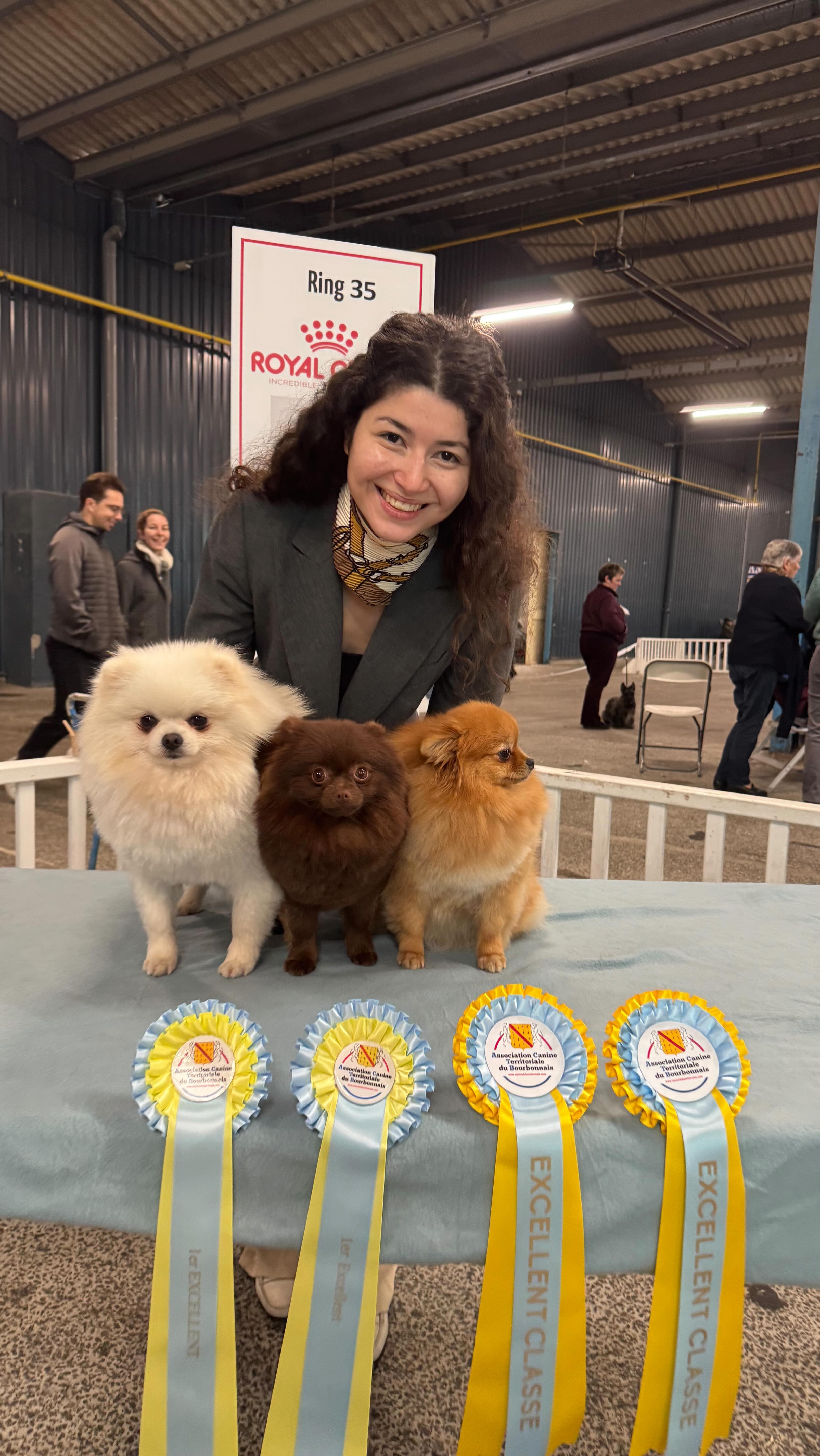 Éleveuse passionnée souriante tenant trois Spitz nains de couleurs blanche, chocolat et fauve lors d’une exposition canine, avec rubans de récompense en premier plan.