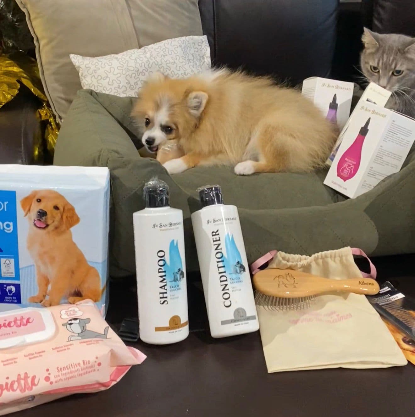 Panier rouge avec produits de toilettage, brosse, jouets et accessoires pour chiots Spitz.